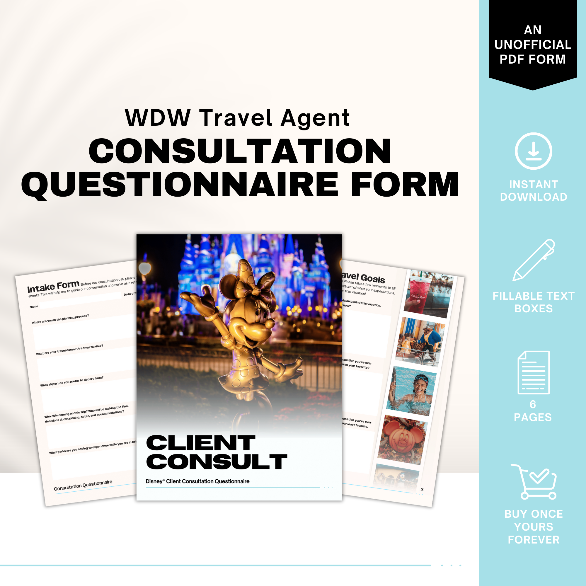 Disney World Travel Agent Client Questionnaire Template