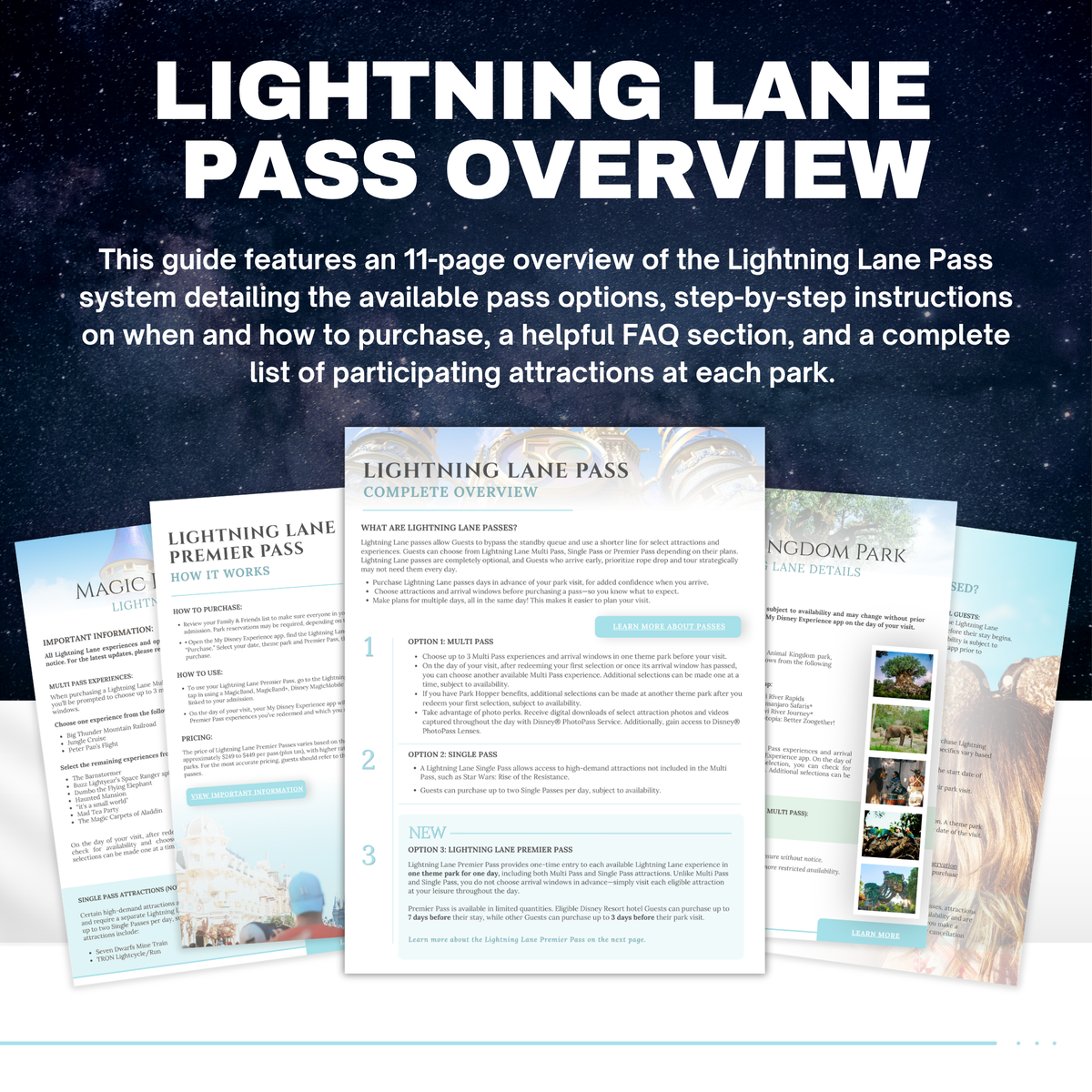 Walt Disney World 75-Page Travel Agent Vacation Guide Canva