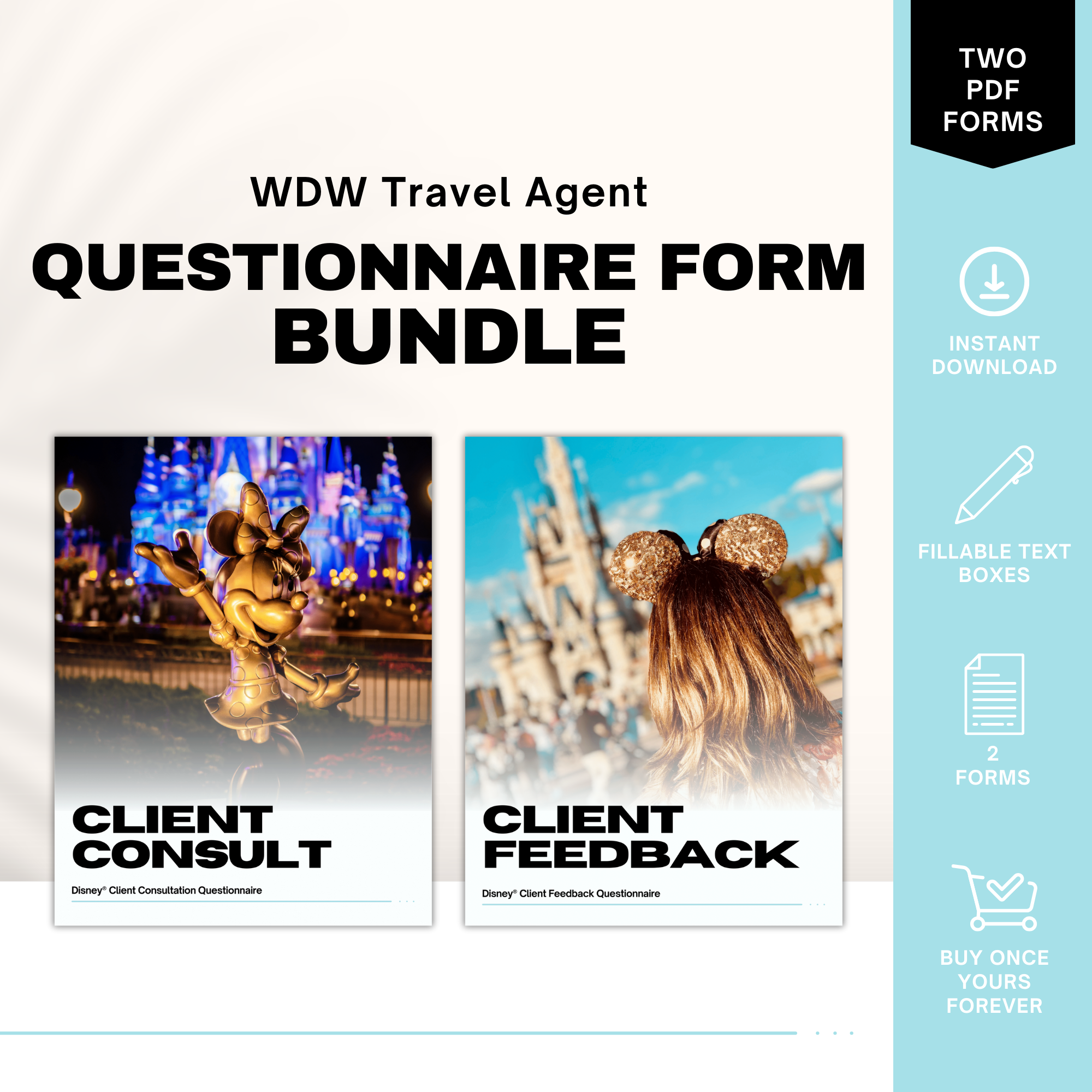 Disney World Travel Agent Client Forms Bundle