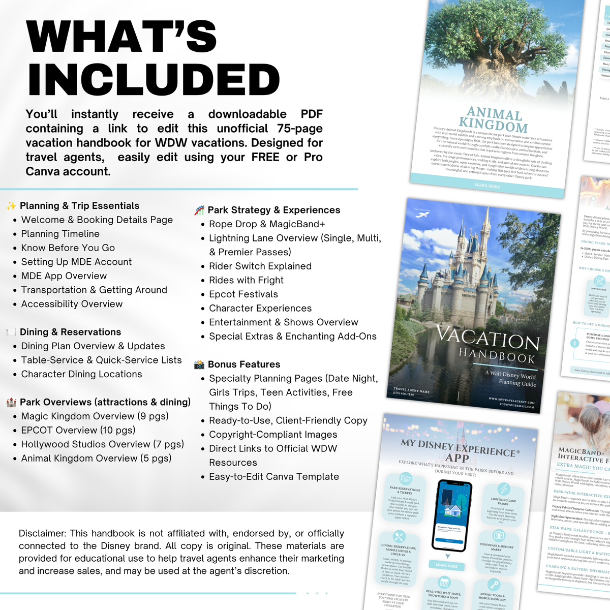 Walt Disney World 75-Page Travel Agent Vacation Guide Canva