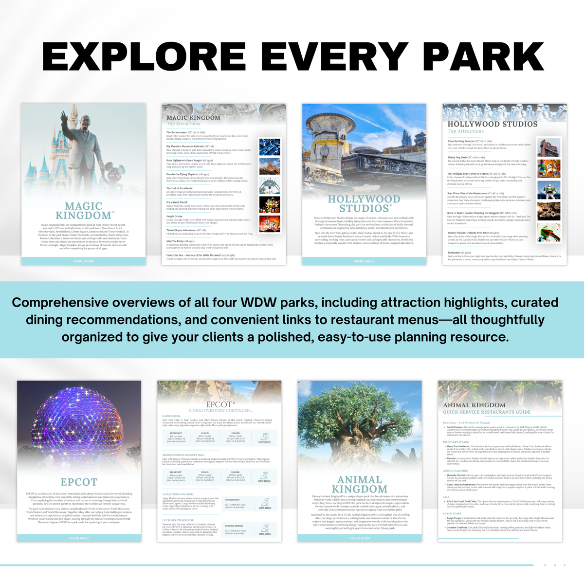 Walt Disney World 75-Page Travel Agent Vacation Guide Canva