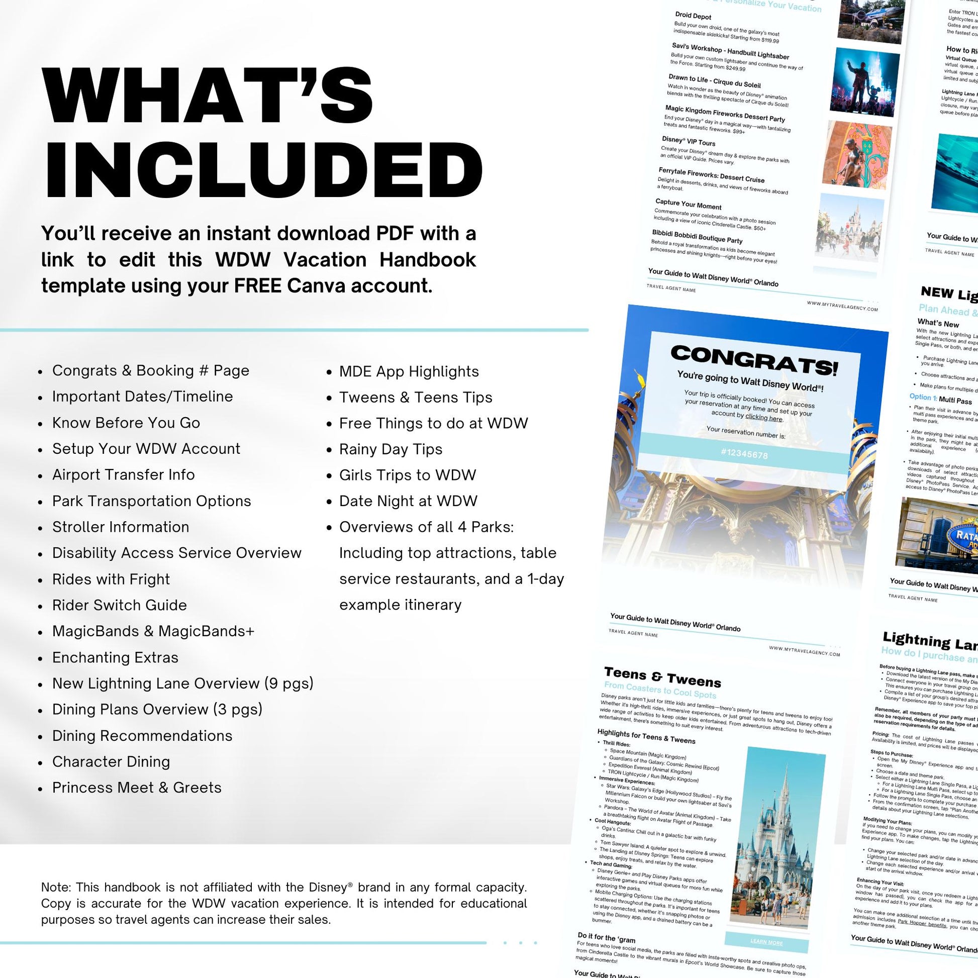 Travel Agent WDW Vacation Guide Template, Travel Agent Template